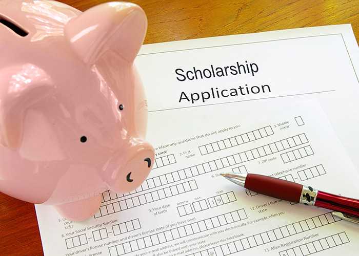 Scholarship Application - Spartan College