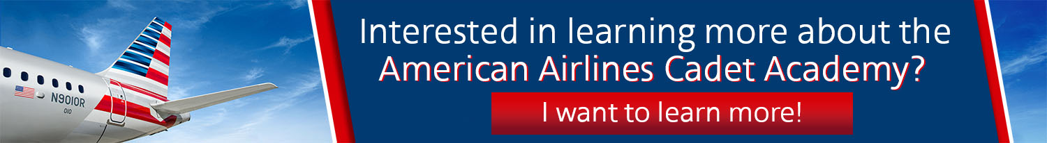 American Airlines Banner